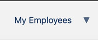 my employee button